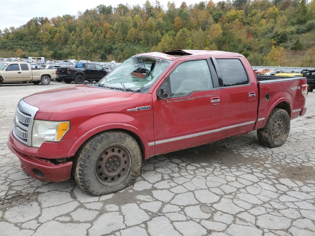 Ford F-150 2010