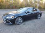 Lexus Es 250 2021