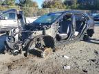 TOYOTA RAV4 XLE 2024