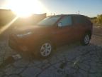 TOYOTA RAV4 2023