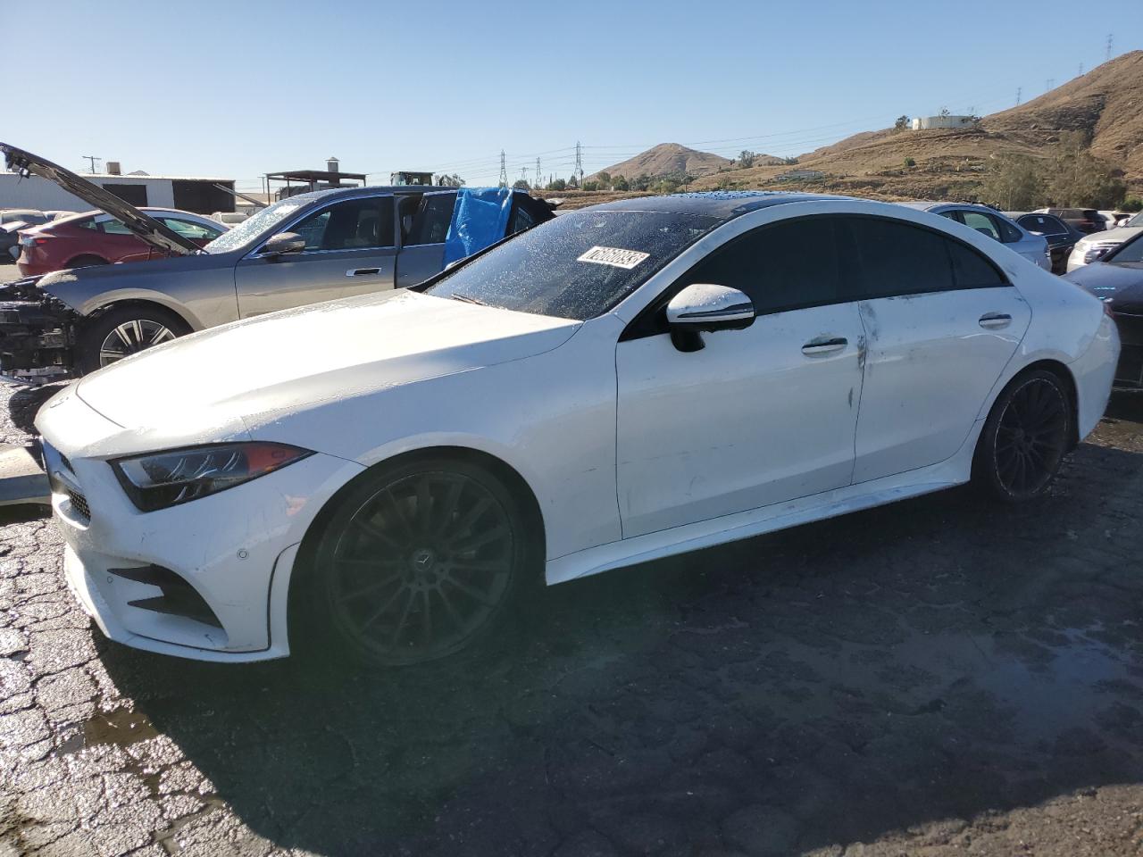 Mercedes-benz Cls-class 2019