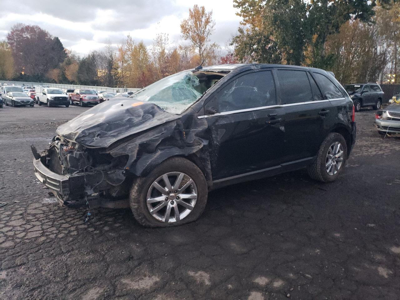 Ford Edge 2012