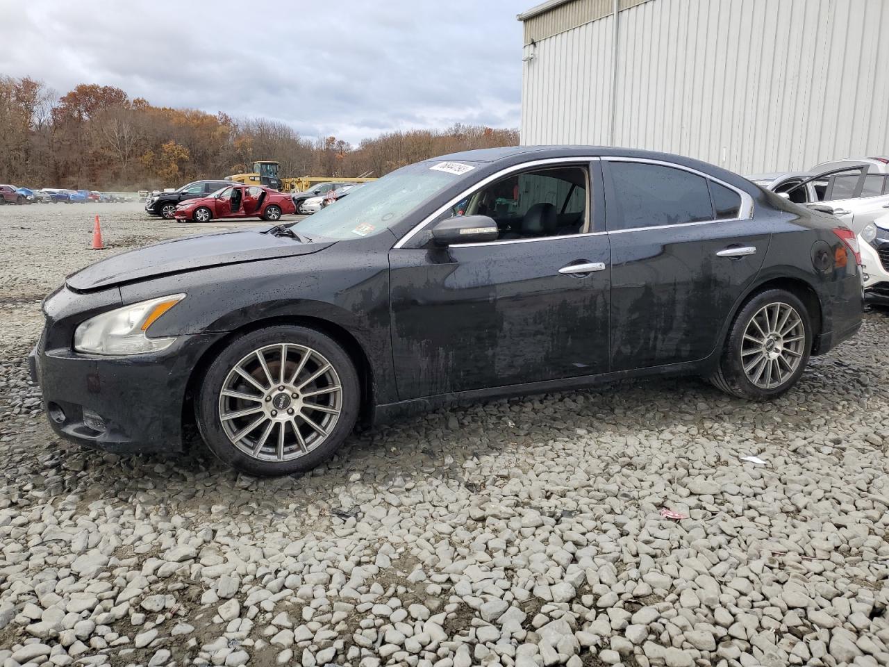 Nissan Maxima 2011