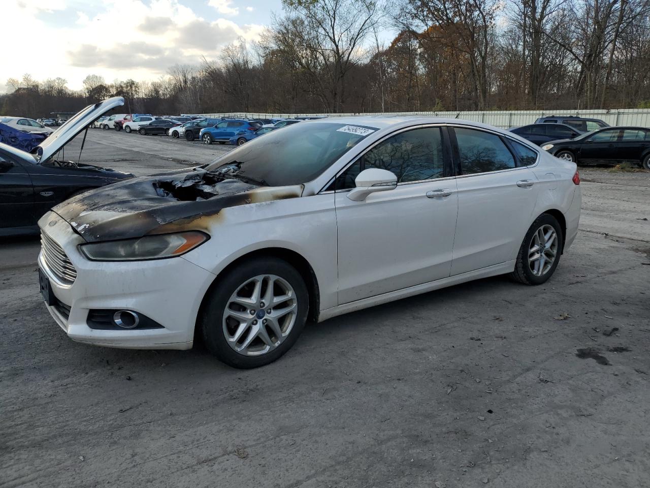 Ford Fusion 2013
