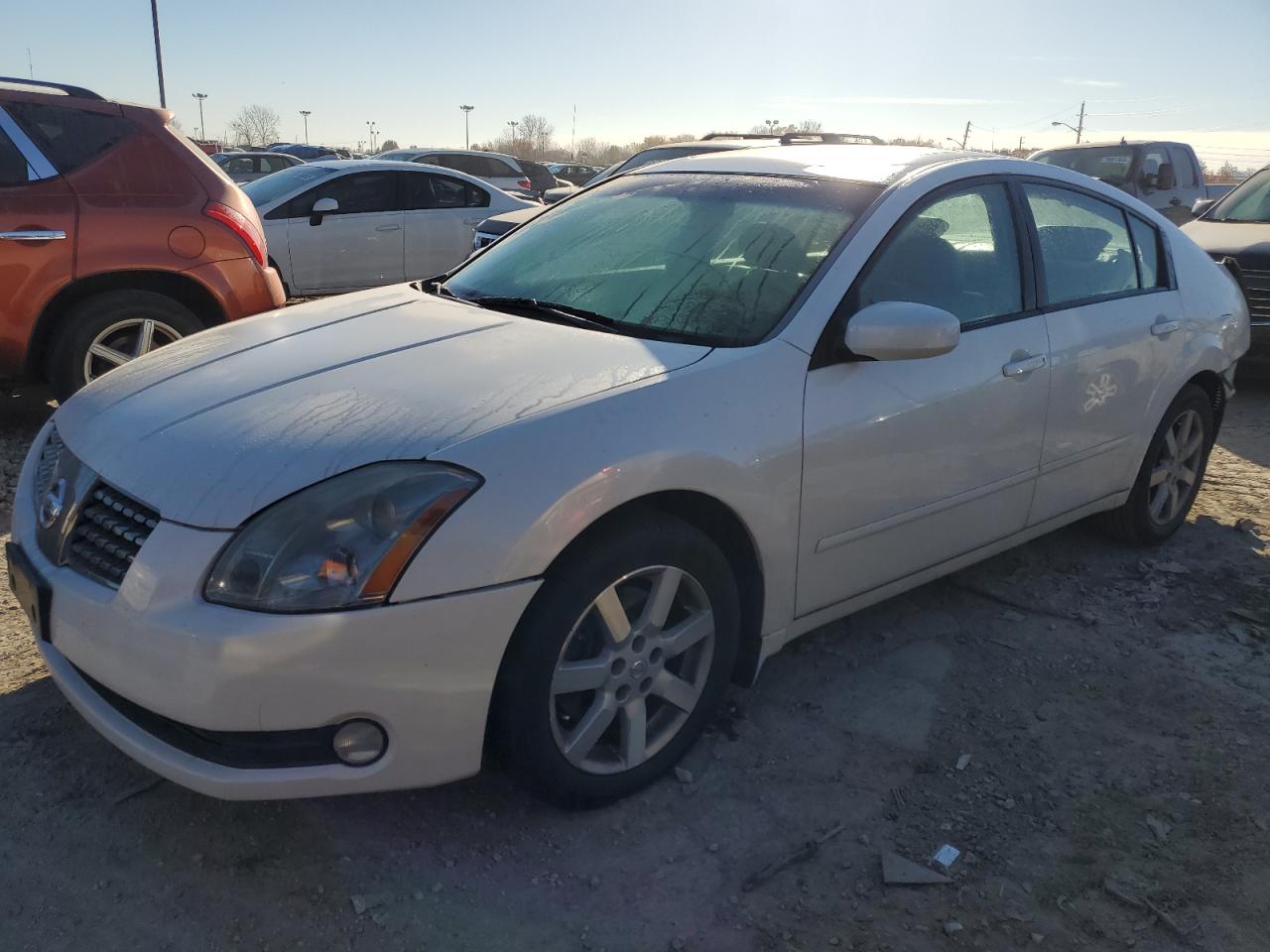 Nissan Maxima 2004