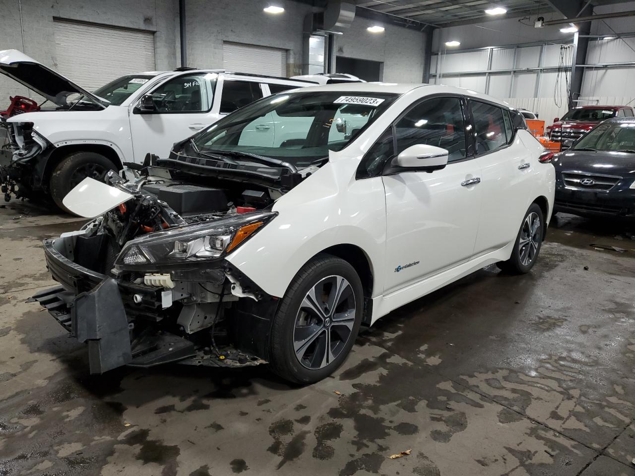 Nissan Leaf 2019