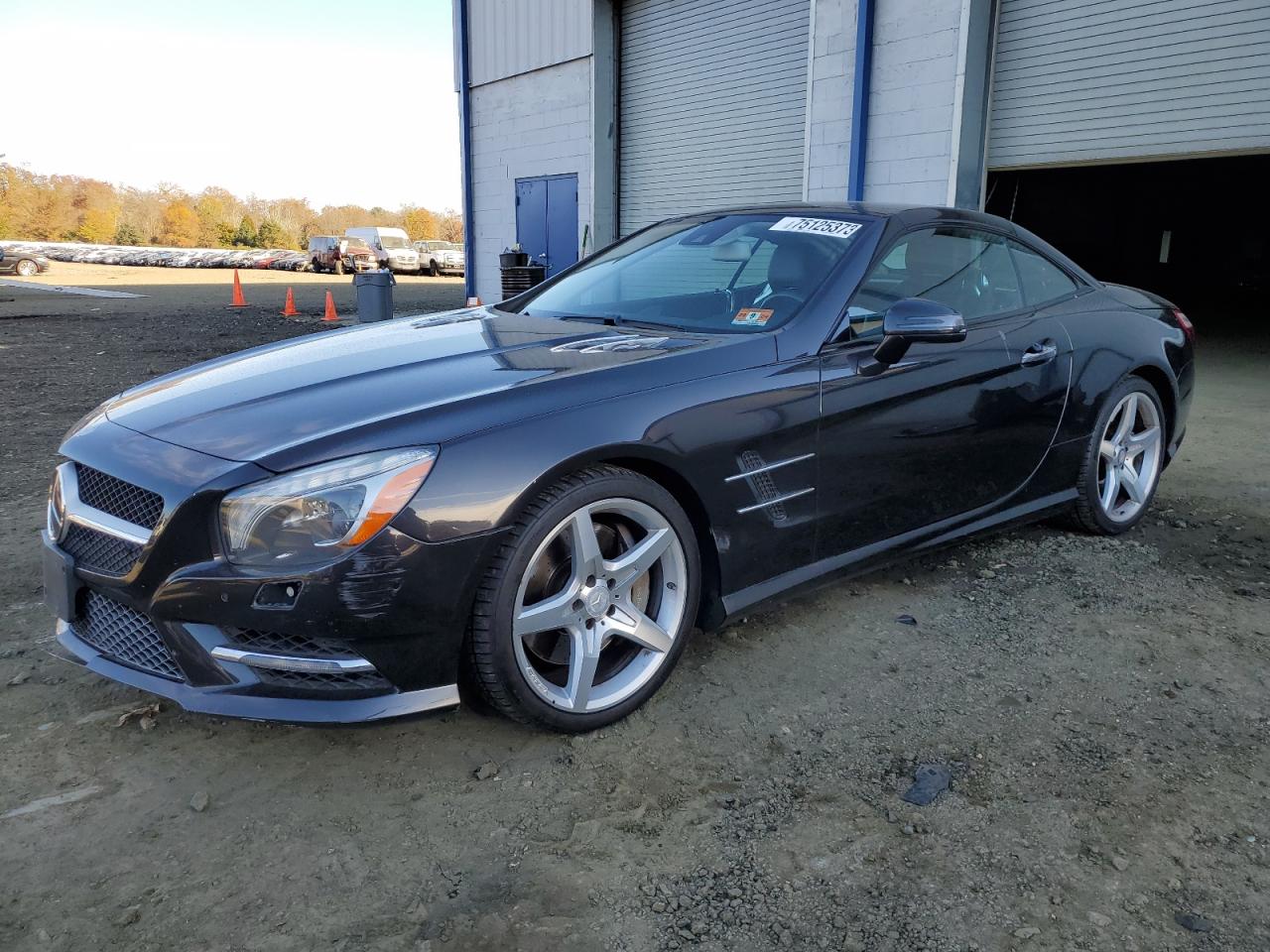 Mercedes-benz Sl-class 2013