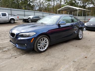 Bmw 2 Series 2015