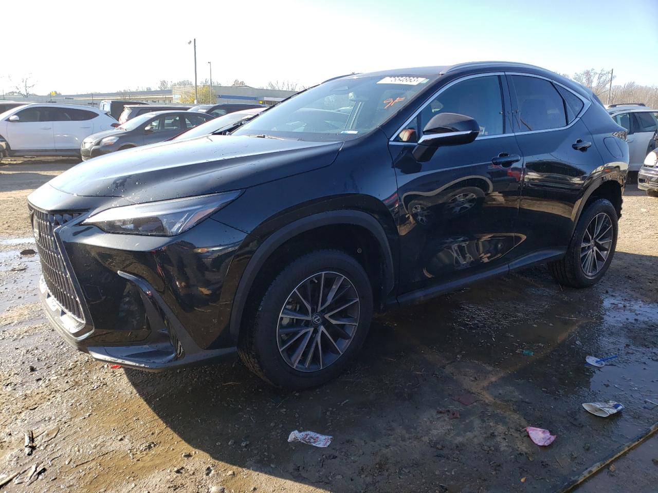 Lexus Nx 250 2023