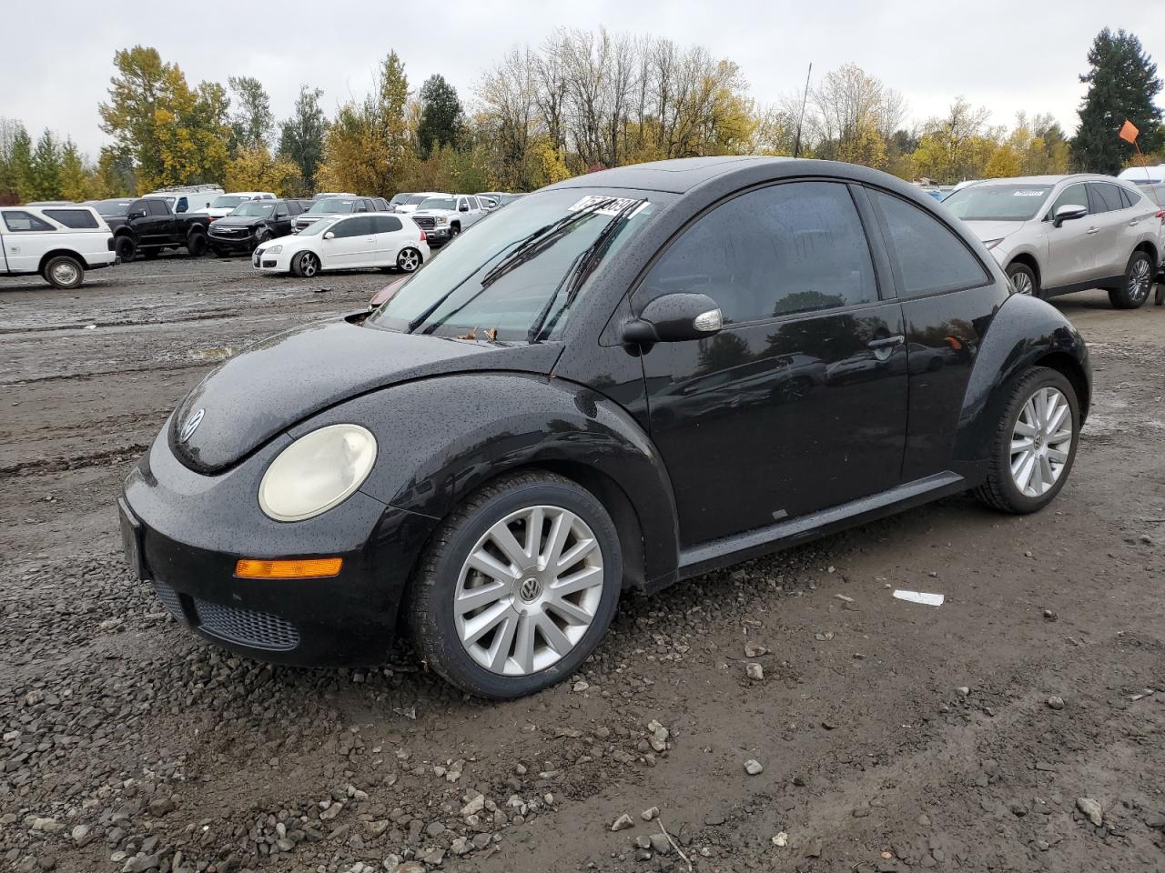 Volkswagen New beetle 2008