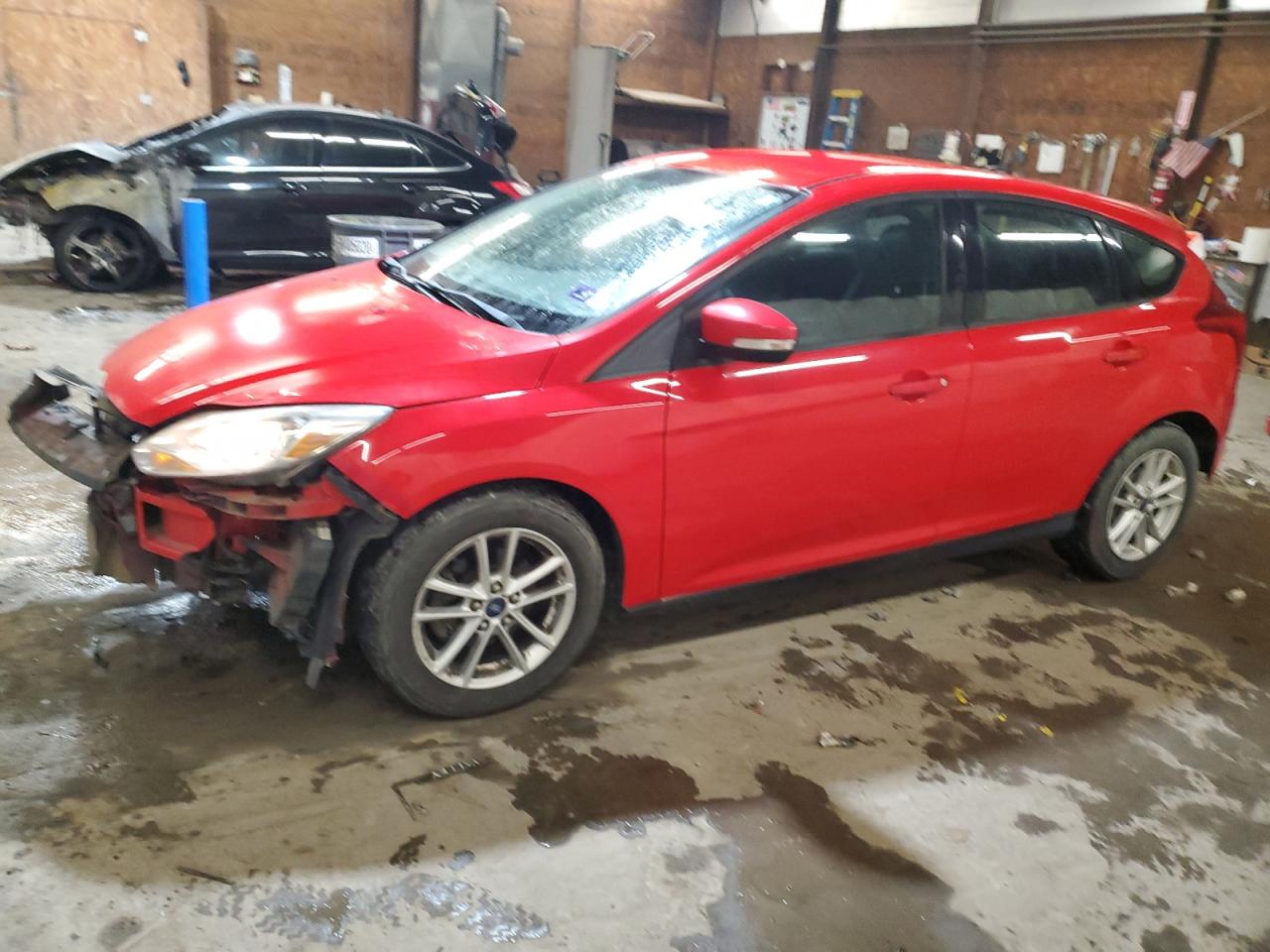 Ford Focus 2013