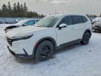 HONDA CR-V 2024