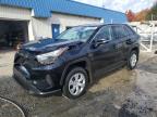 TOYOTA RAV4 2024