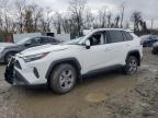 TOYOTA RAV4 2025