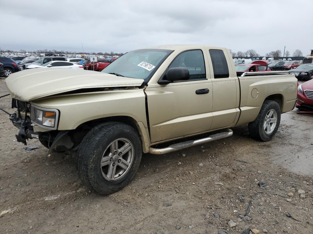 DODGE DAKOTA 2011
