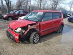 KIA SOUL 2013