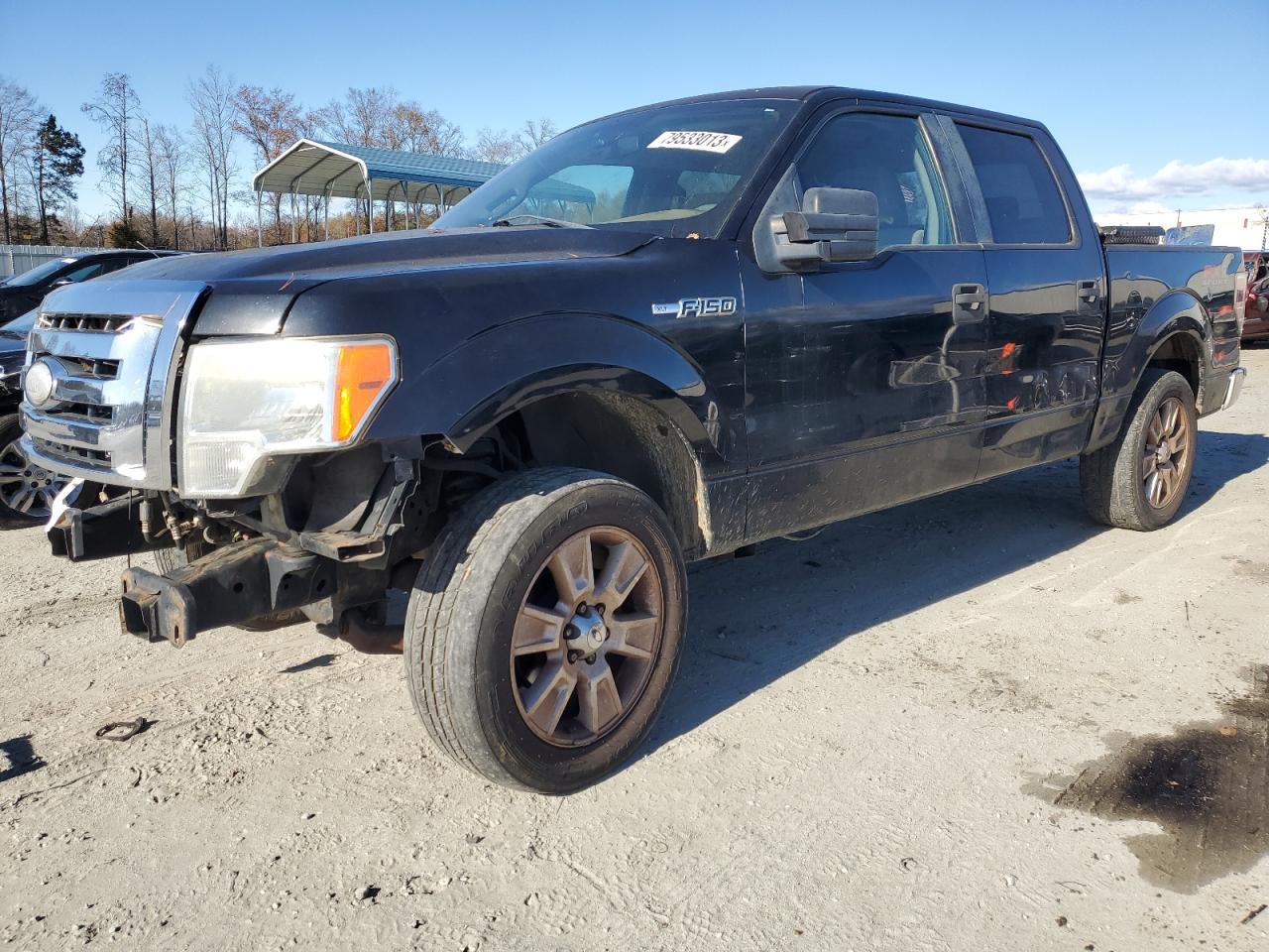 Ford F-150 2009