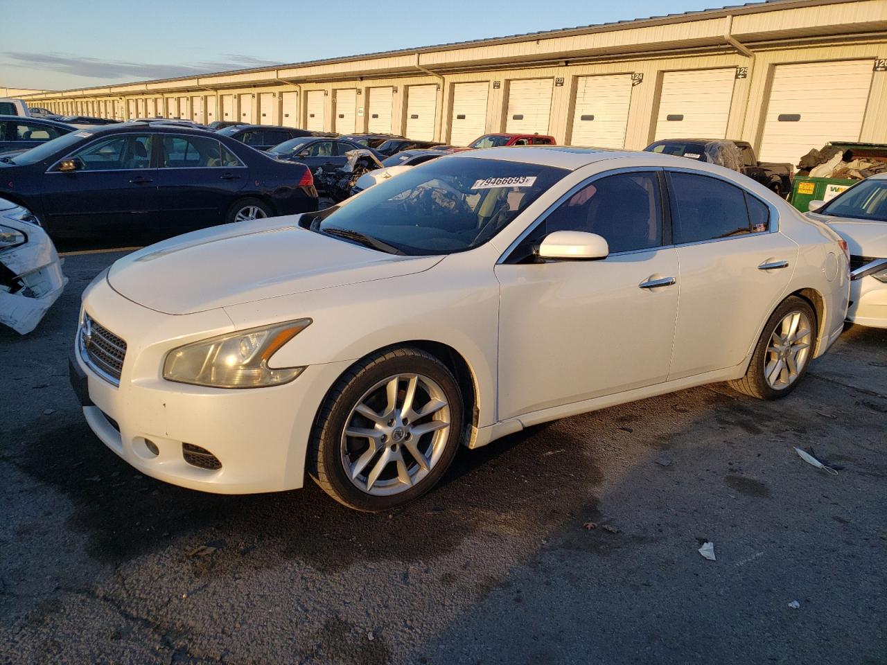Nissan Maxima 2010