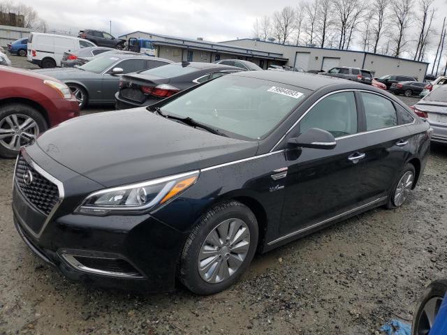 Hyundai Sonata 2017