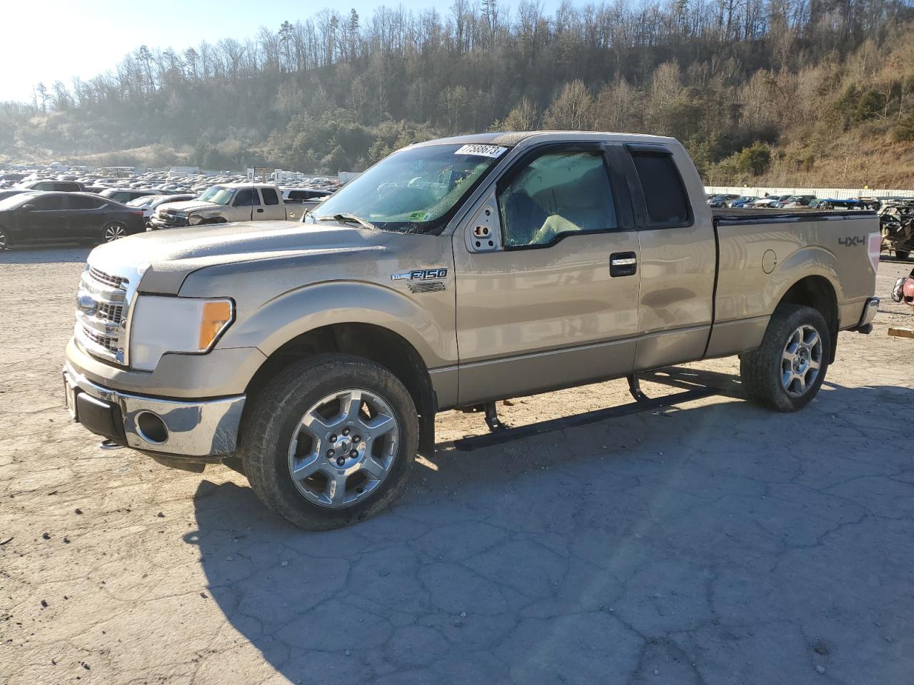 Ford F-150 2013