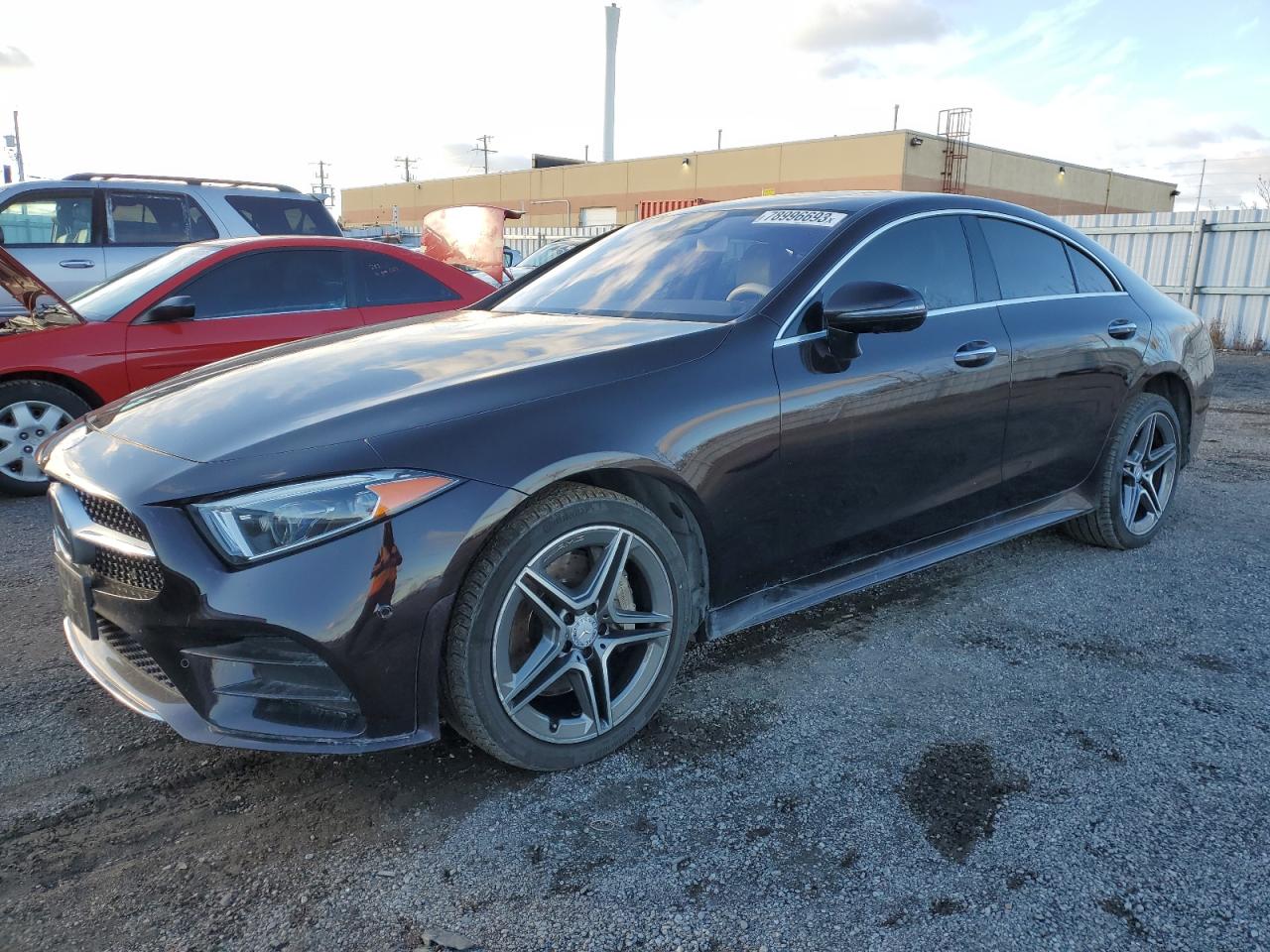 Mercedes-benz Cls-class 2019