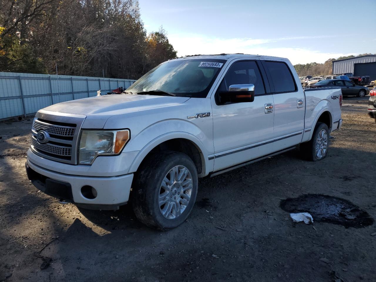 FORD F-150 2010