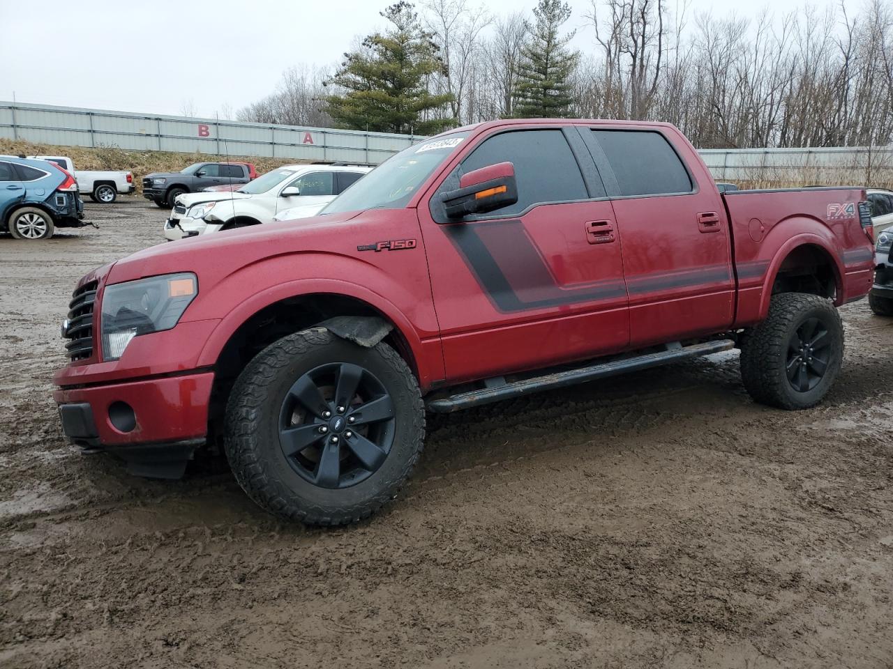 FORD F-150 2014