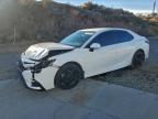 TOYOTA CAMRY 2023