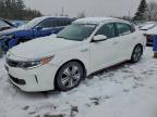 KIA OPTIMA HYBRID EX 2018