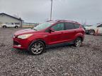 FORD ESCAPE 2013