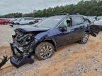TOYOTA RAV4 2024