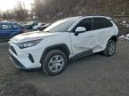 TOYOTA RAV4 2021