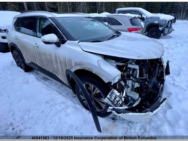 5N1AT3BB3MC****** NISSAN ROGUE з аукціону США | Day Drive