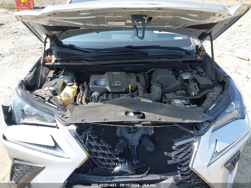 JTJYARBZ4J2112206 LEXUS NX 300 с аукциона США | Day Drive
