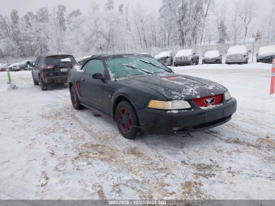 FORD MUSTANG 2000