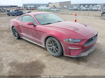 FORD MUSTANG 2019