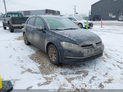 VOLKSWAGEN GOLF 2019