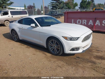FORD MUSTANG 2015