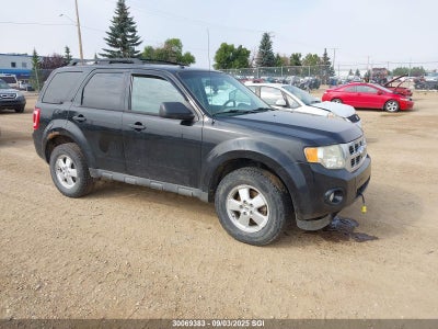 FORD ESCAPE 2011