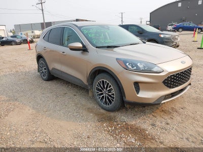 FORD ESCAPE 2021