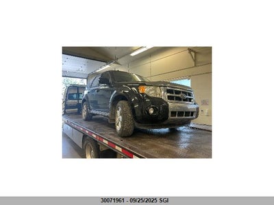 FORD ESCAPE 2010