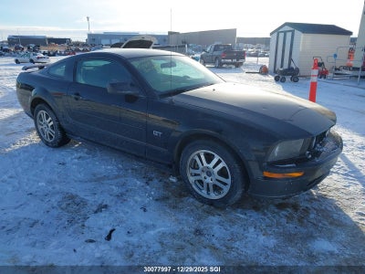 FORD MUSTANG 2005
