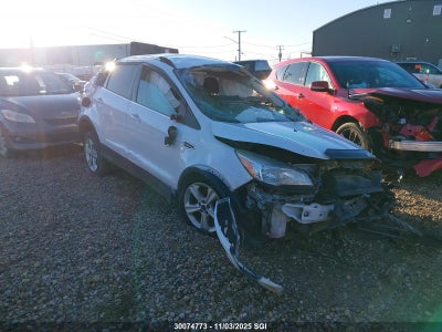 FORD ESCAPE 2014