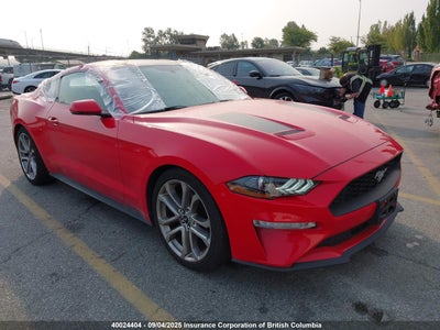FORD MUSTANG 2019