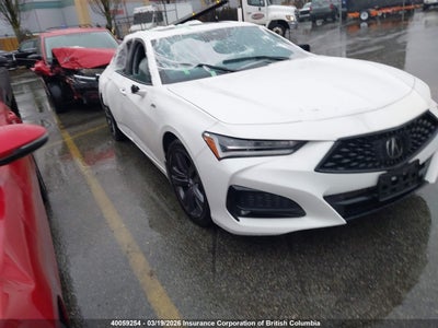 ACURA TLX 2023