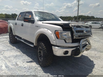 FORD F-150 2013