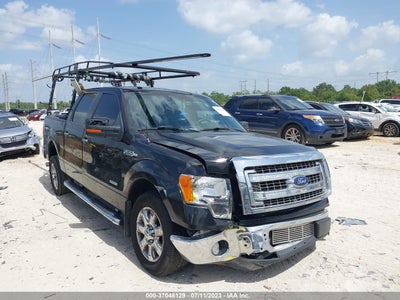FORD F-150 2013