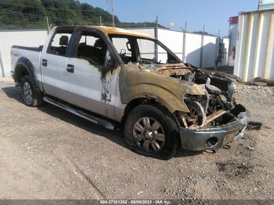 FORD F-150 2012