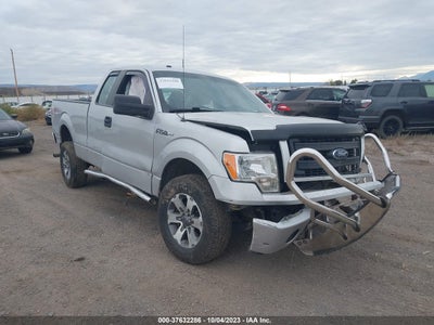 FORD F-150 2013