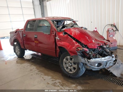 FORD F-150 2013